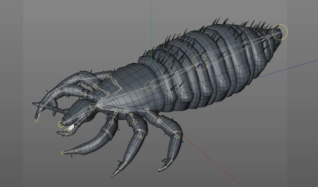 Louse insect rigged 3d model