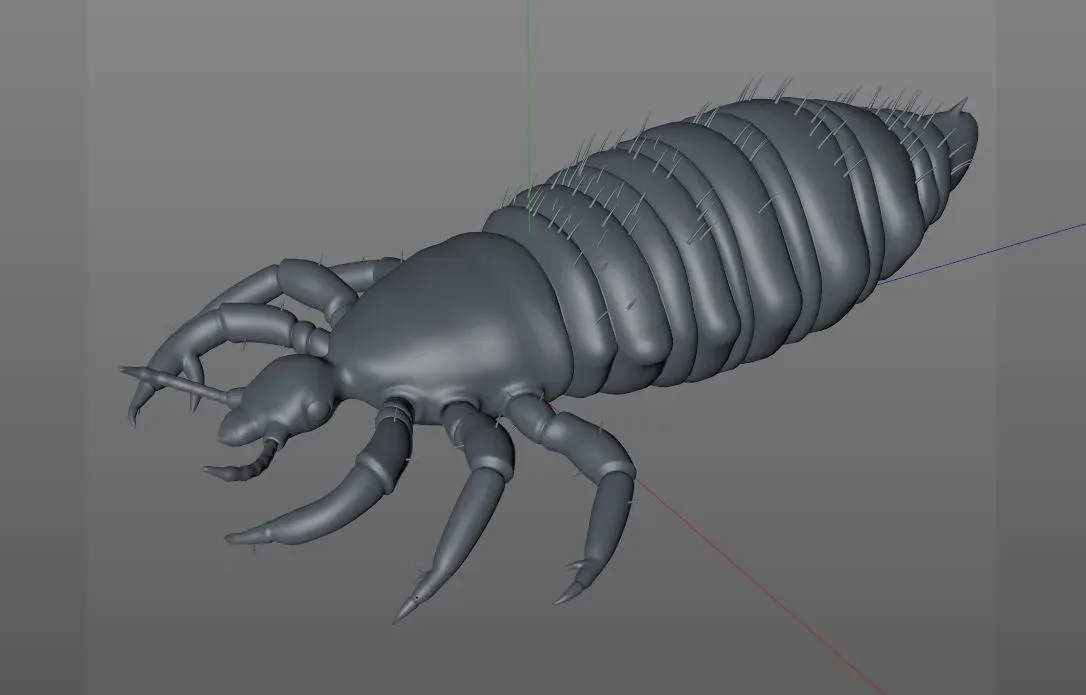 Louse insect rigged 3d model