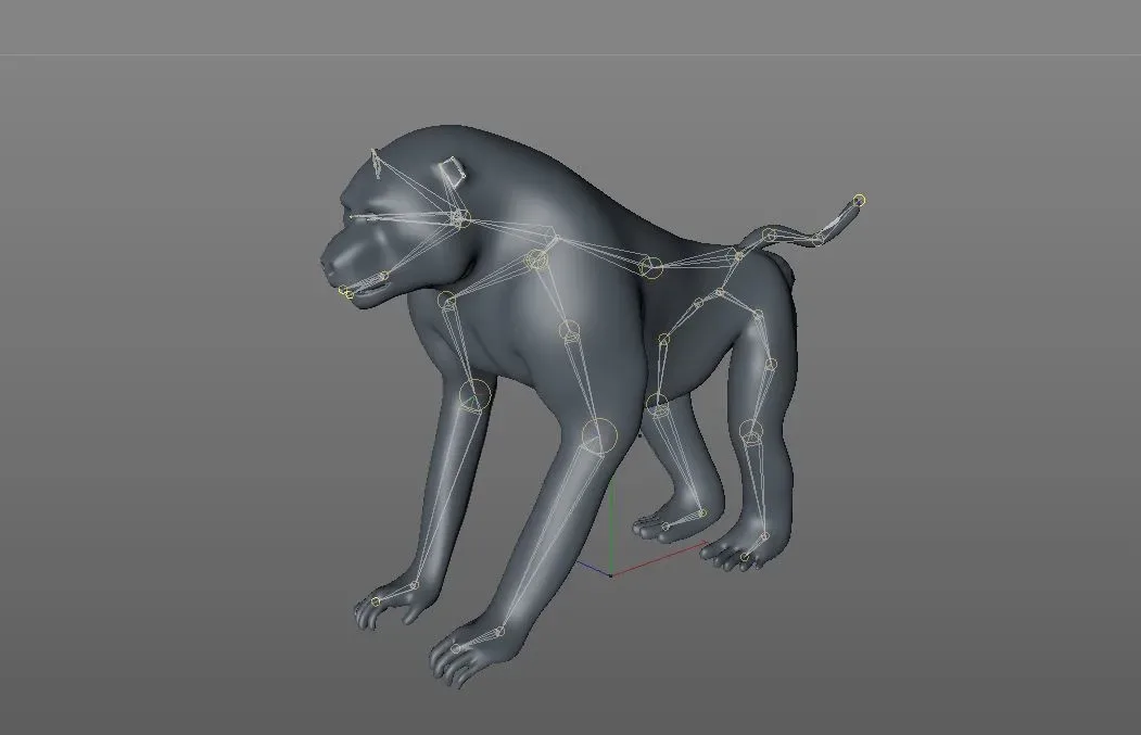 Baboon Monkey Rigged 3d model