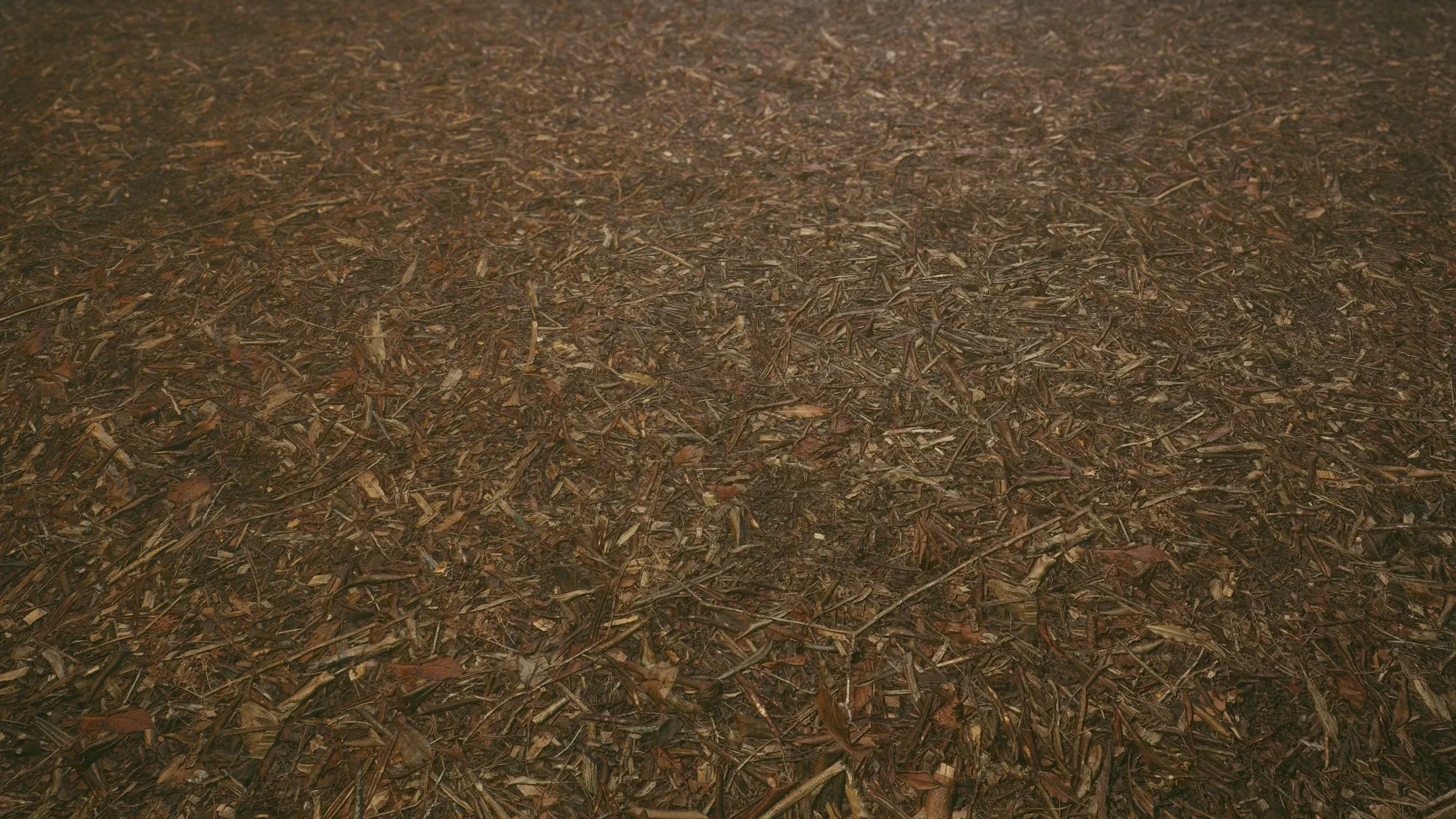 Texture Park Forest Floor