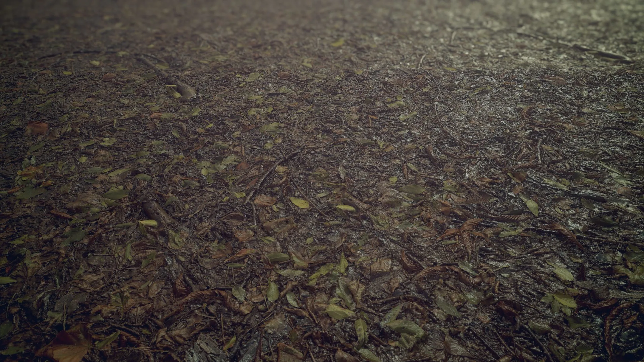 Texture Damp Leafy Creek Bed