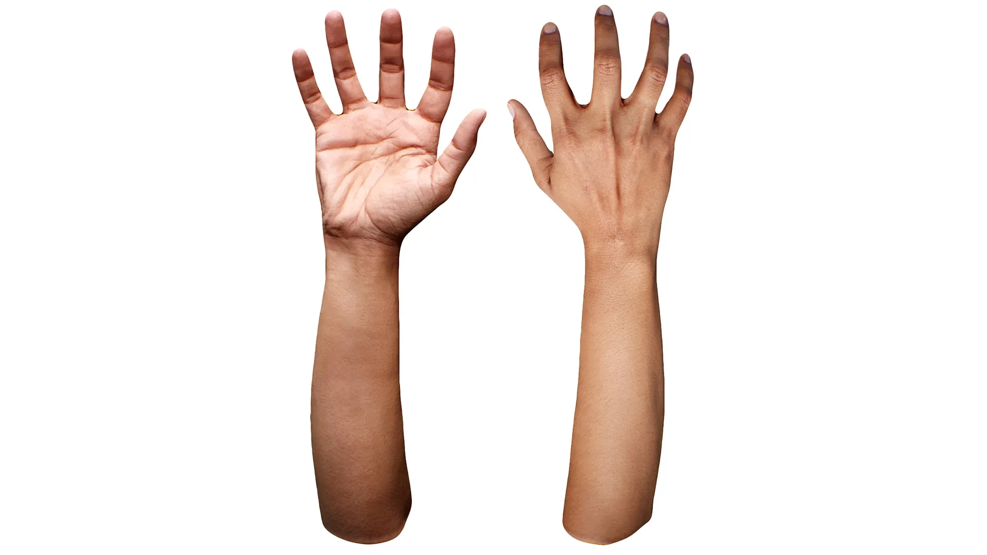 Retopologized Hand scan 3D Model FlippedNormals