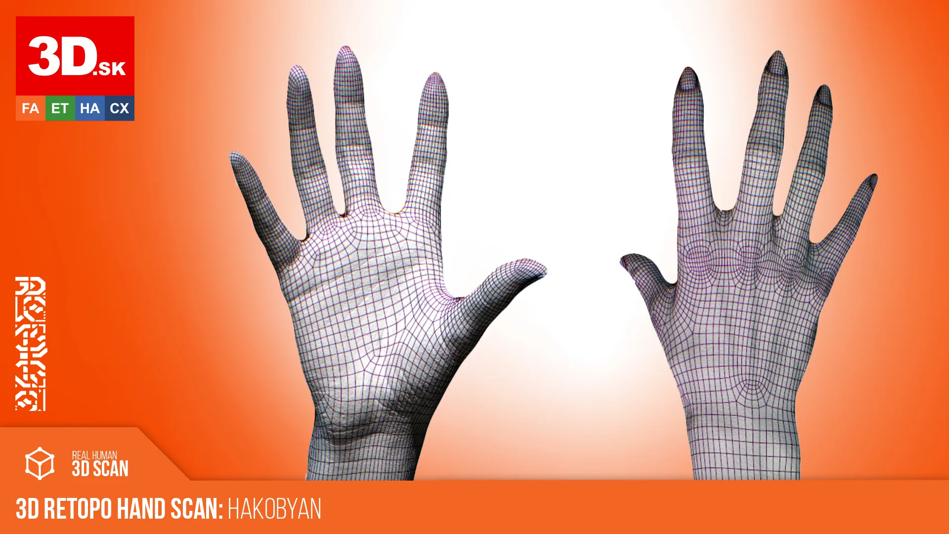 Retopologized Hand scan | 3D Model Hakobyan