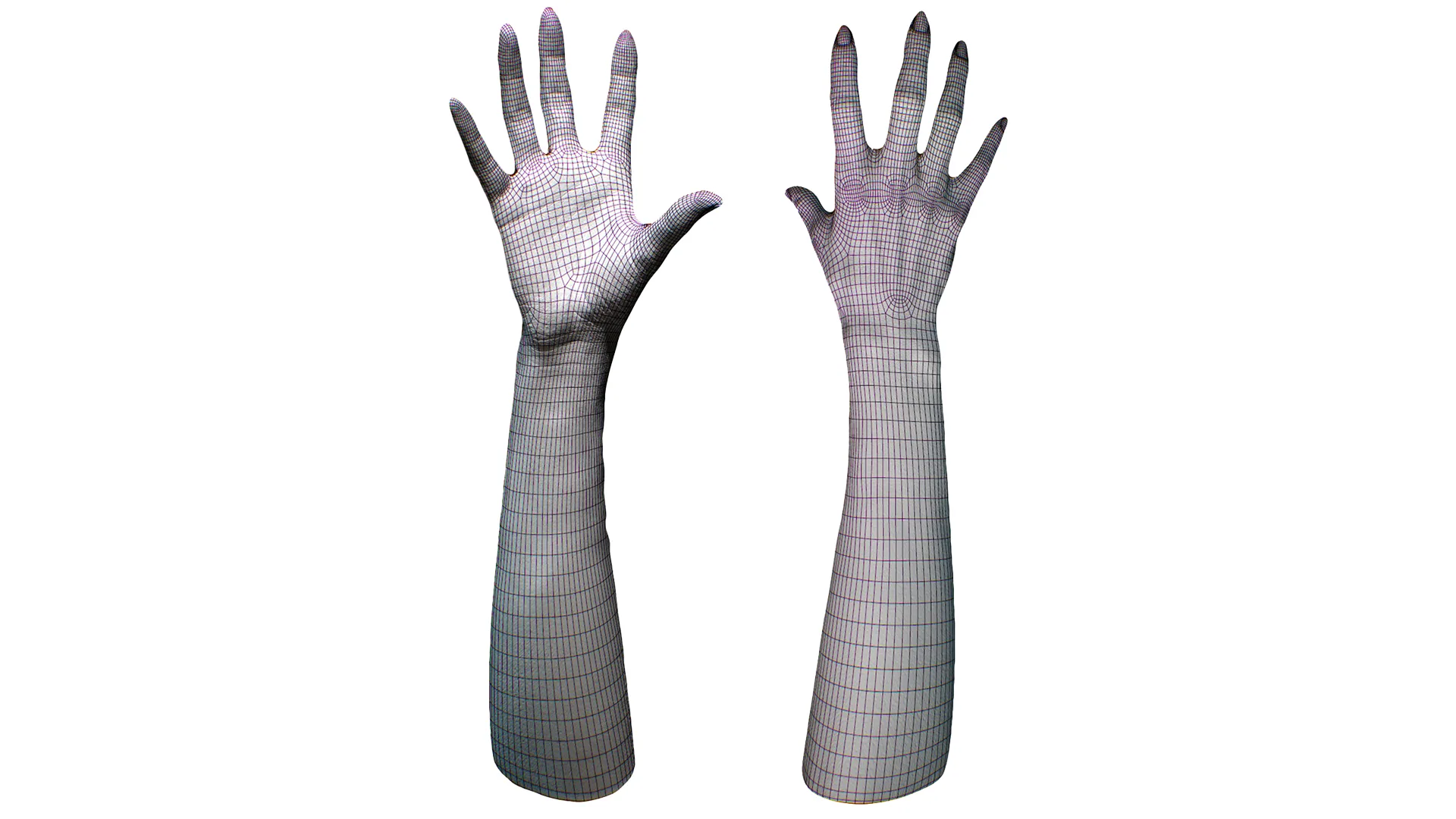 Retopologized Hand scan | 3D Model Hakobyan