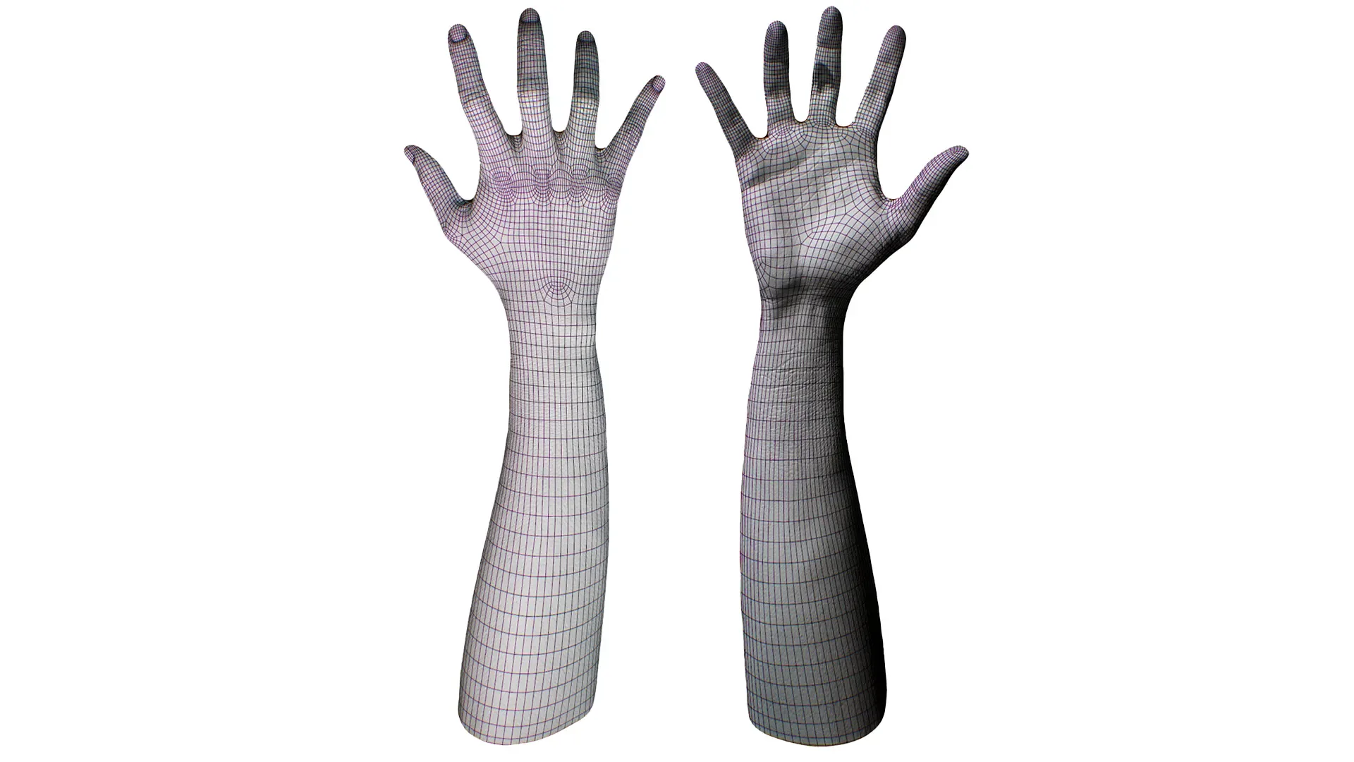 Retopologized Hand scan | 3D Model Helmi