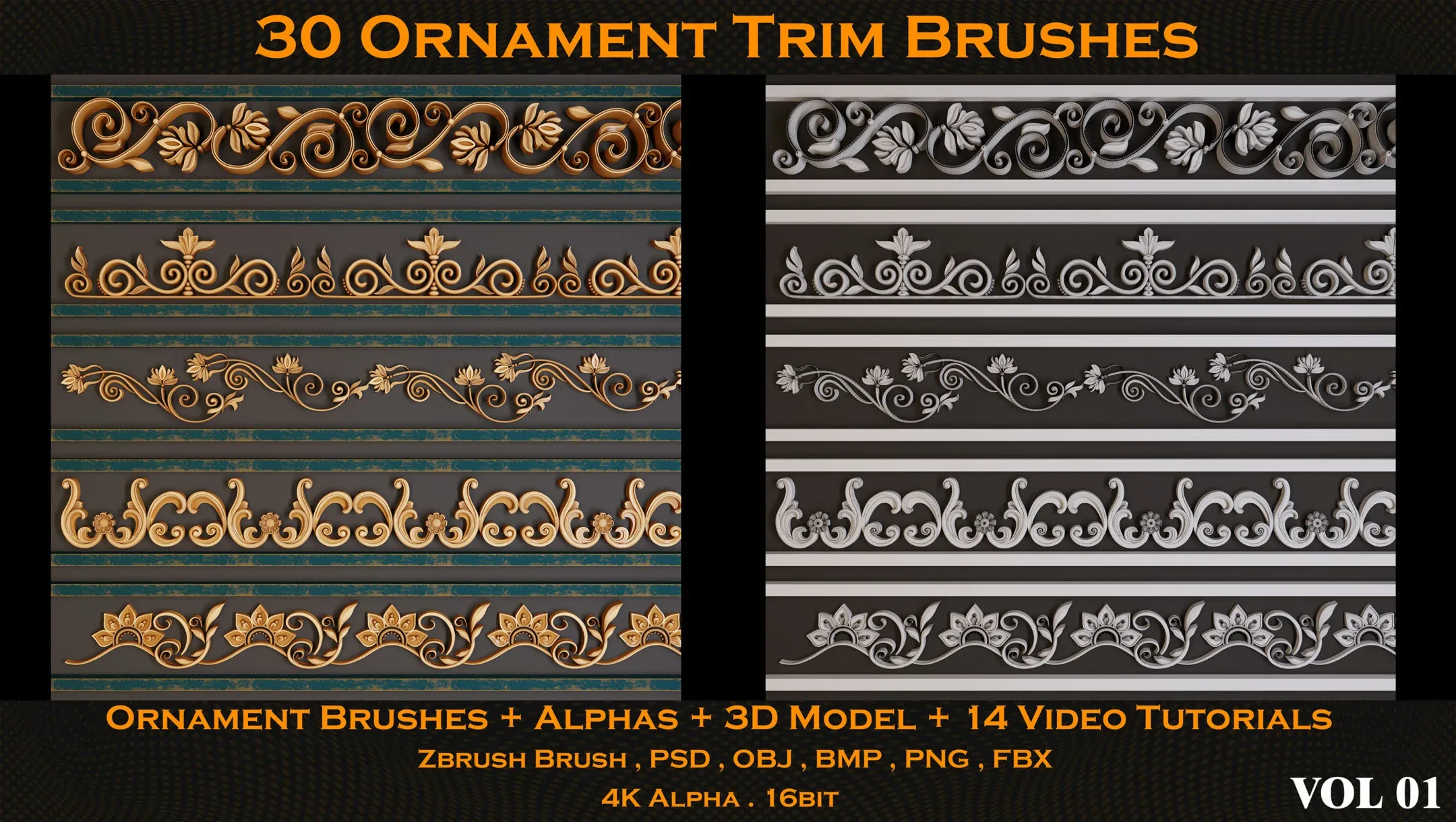 30 Ornament Trim Brushes + Alphas + 3D Model + 14 Video Tutorials (VOL 01)