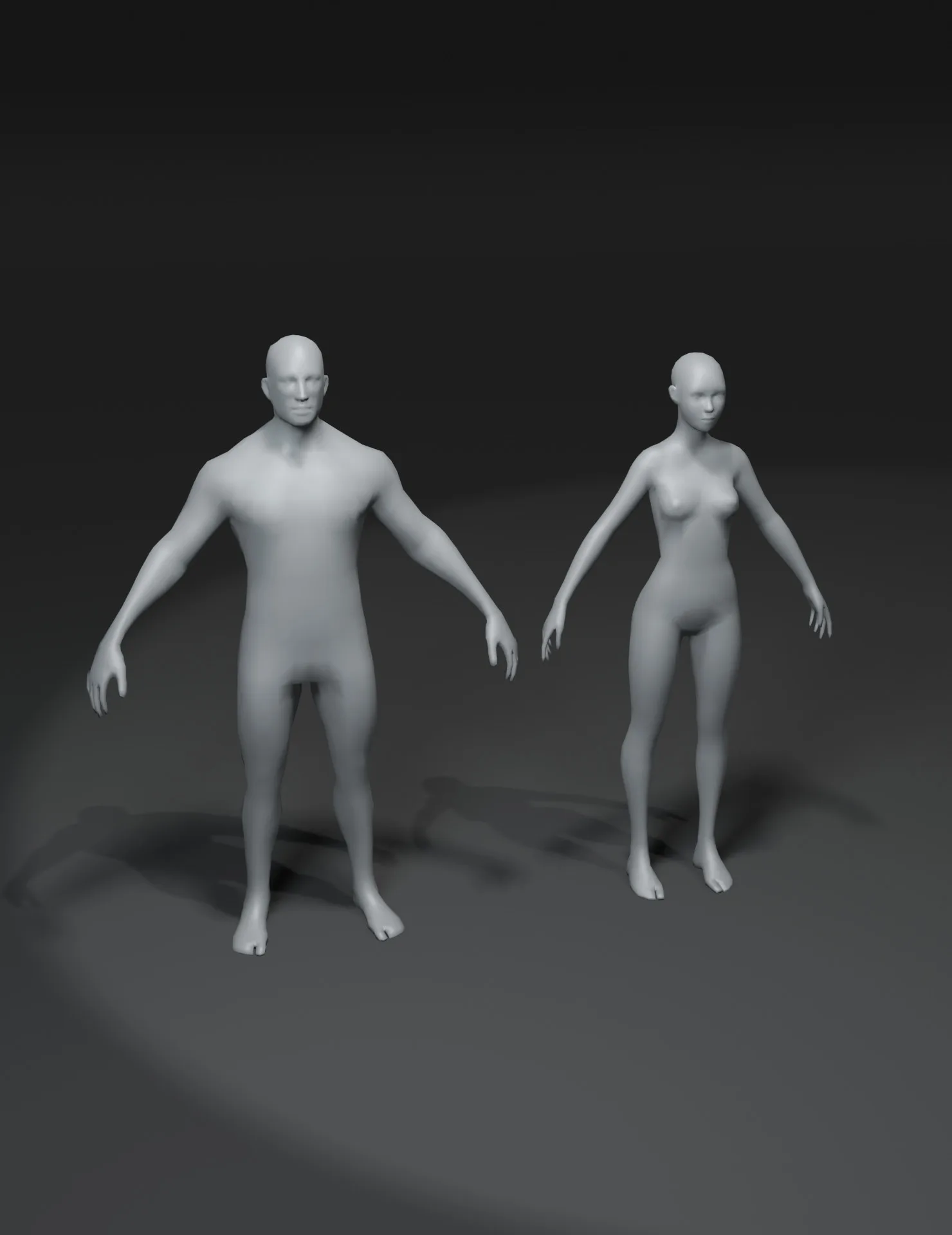 Male and Female Body Base Mesh 3D Model