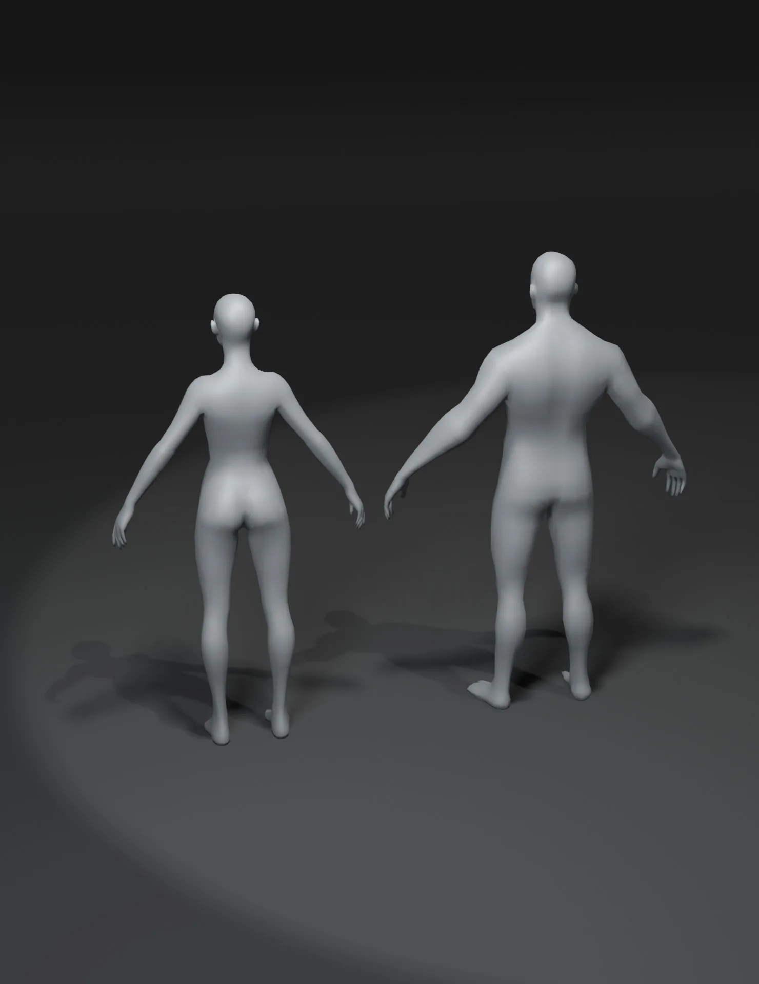 Male and Female Body Base Mesh 3D Model