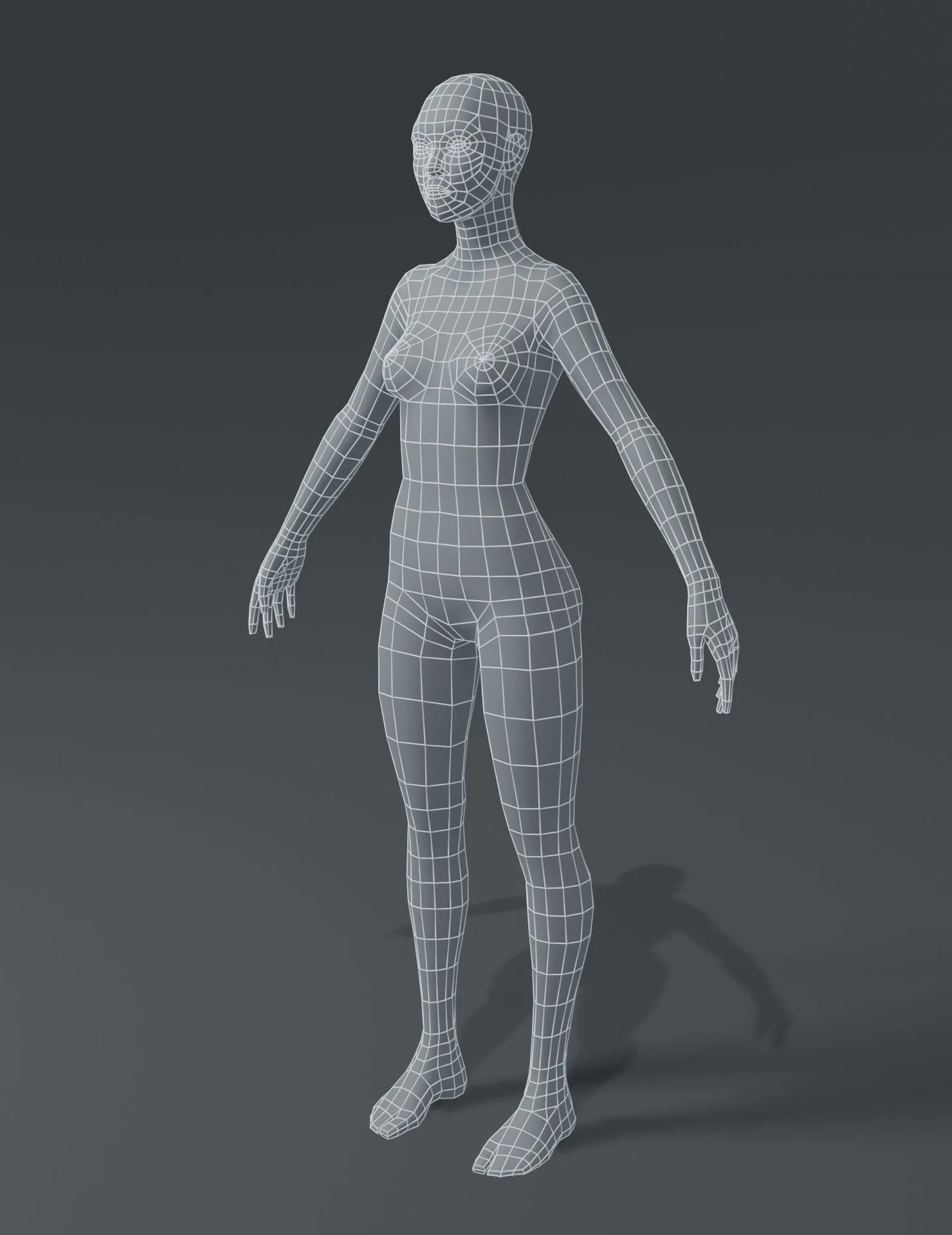 Male and Female Body Base Mesh 3D Model