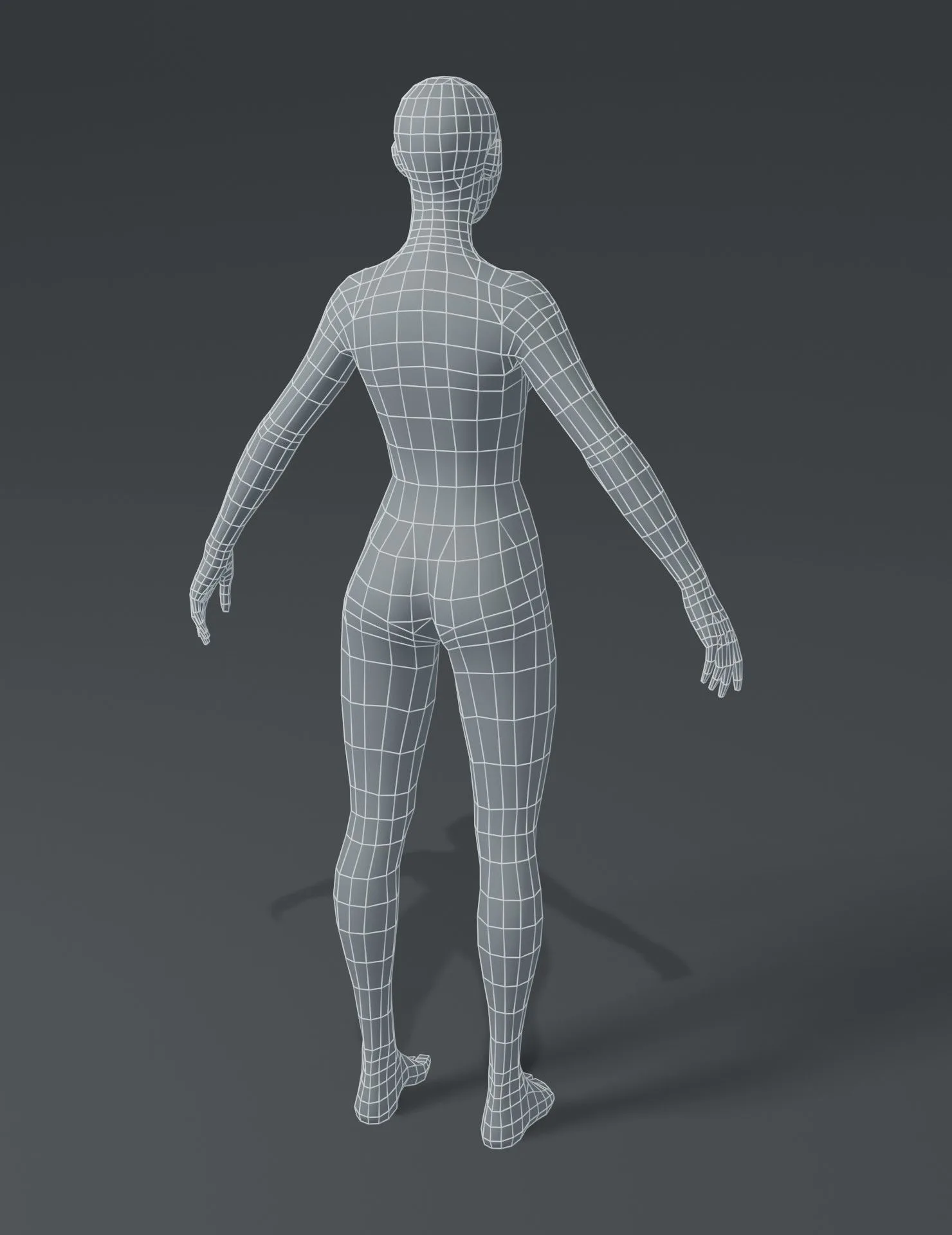 Male and Female Body Base Mesh 3D Model