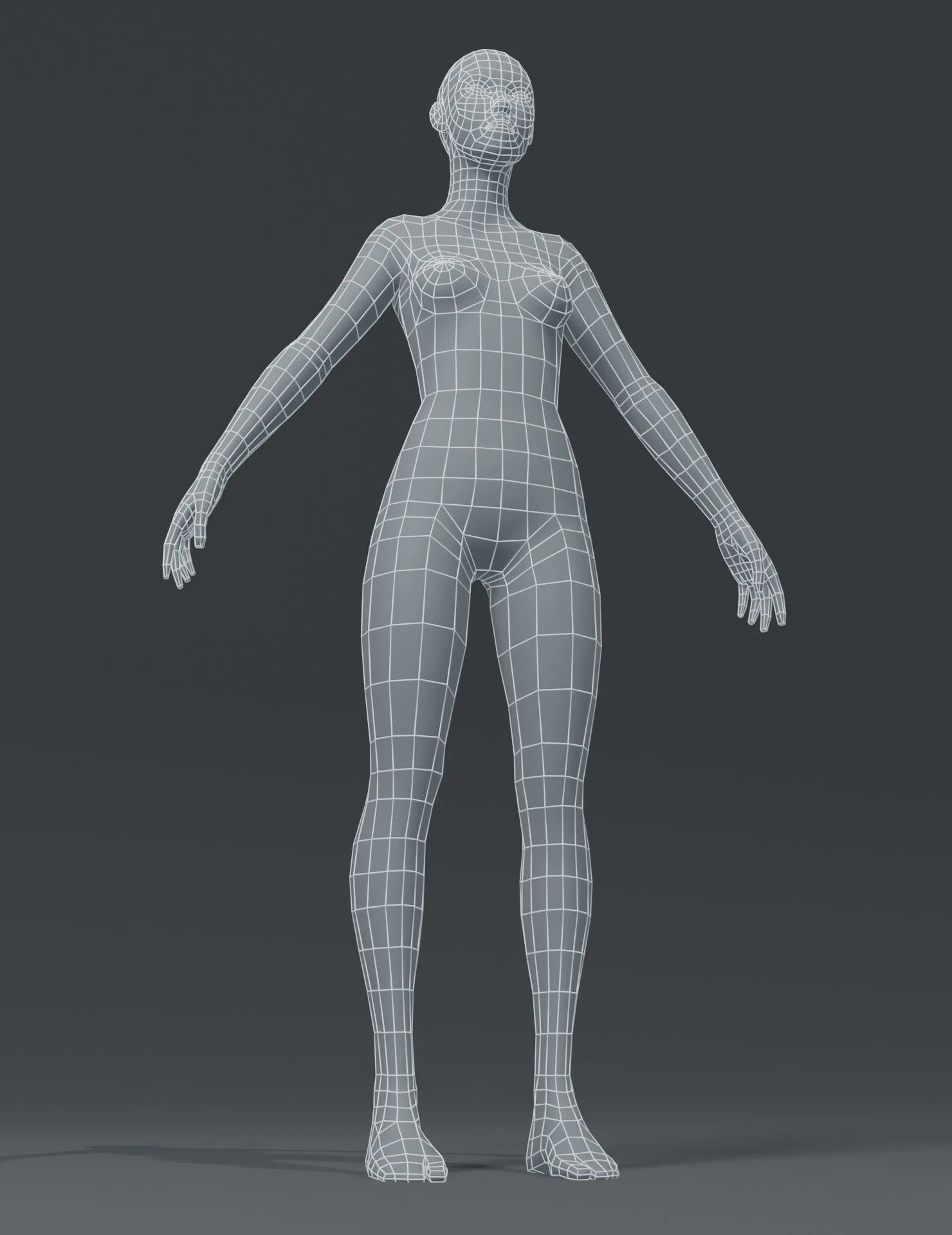 Male and Female Body Base Mesh 3D Model