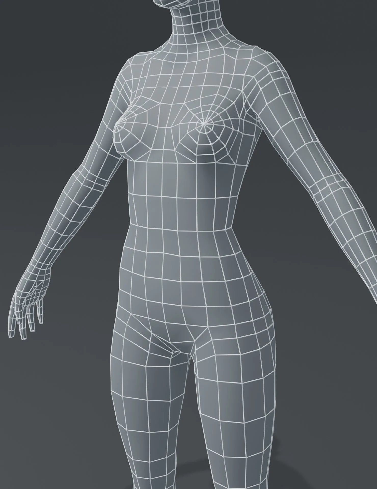 Male and Female Body Base Mesh 3D Model