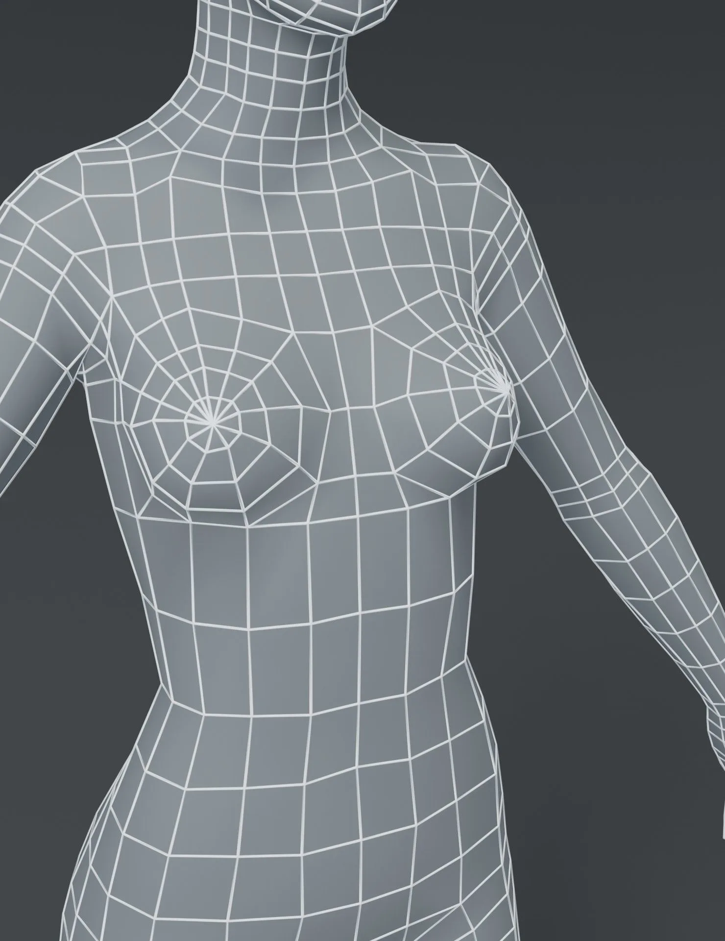 Male and Female Body Base Mesh 3D Model