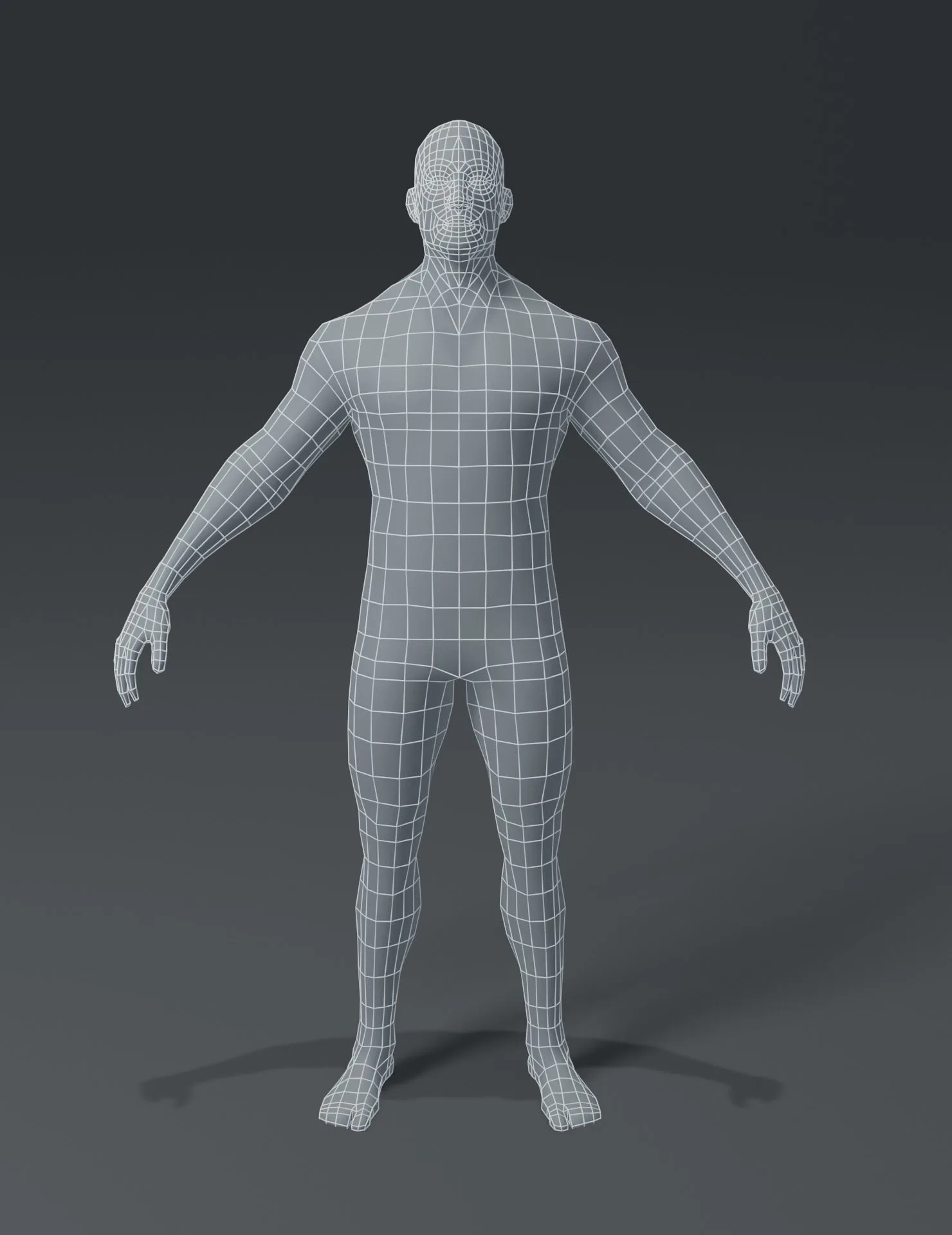 Male and Female Body Base Mesh 3D Model