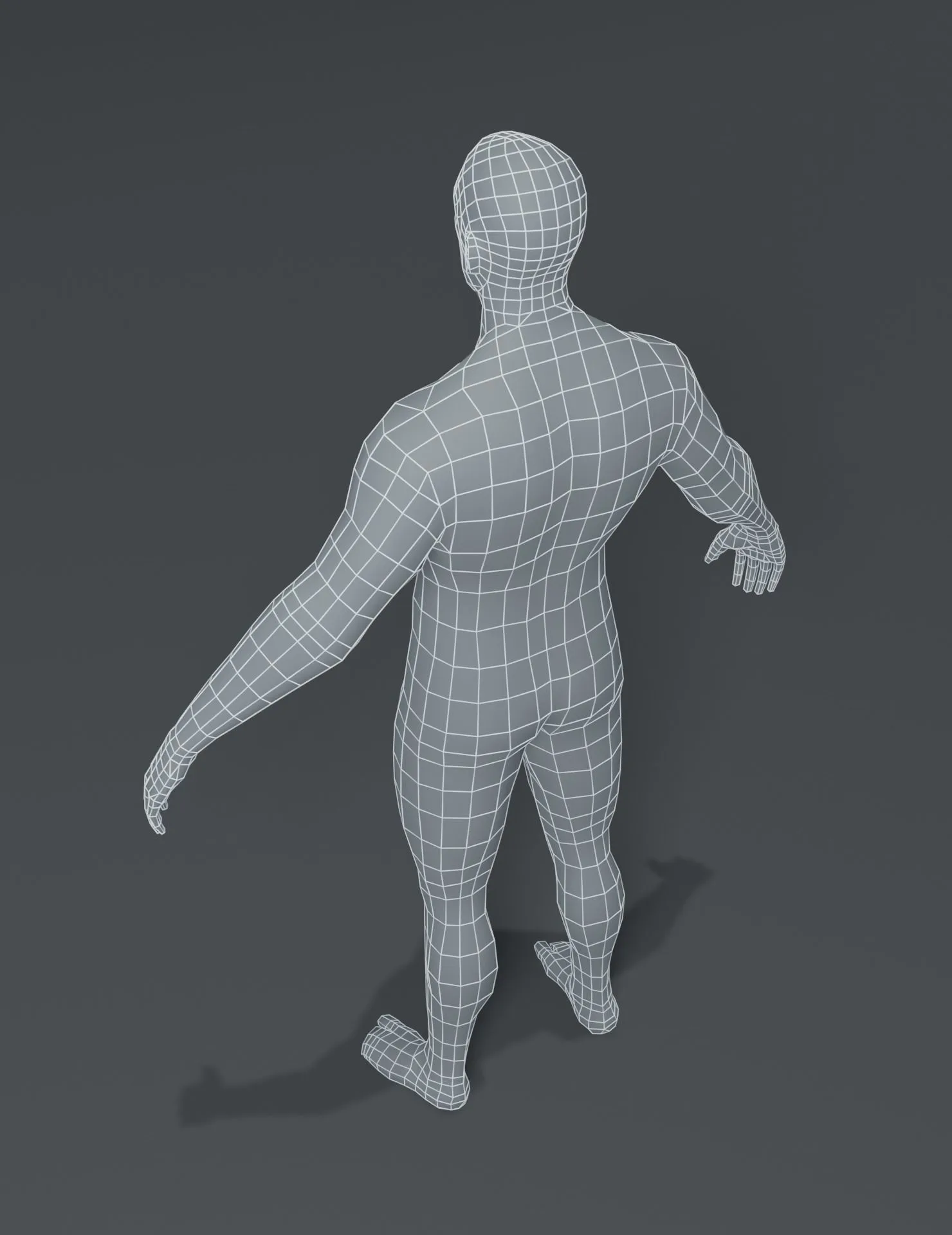 Male and Female Body Base Mesh 3D Model