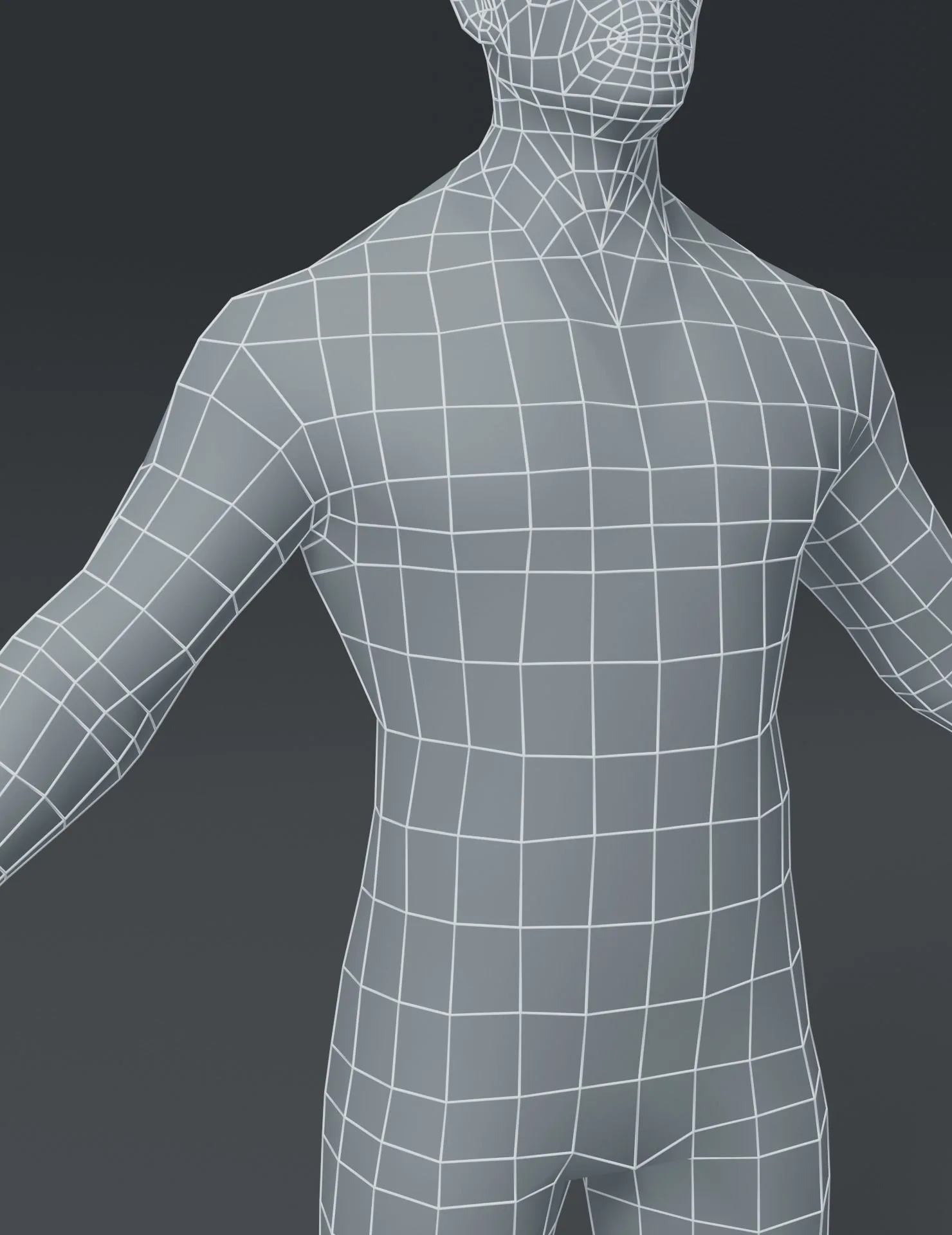 Male and Female Body Base Mesh 3D Model