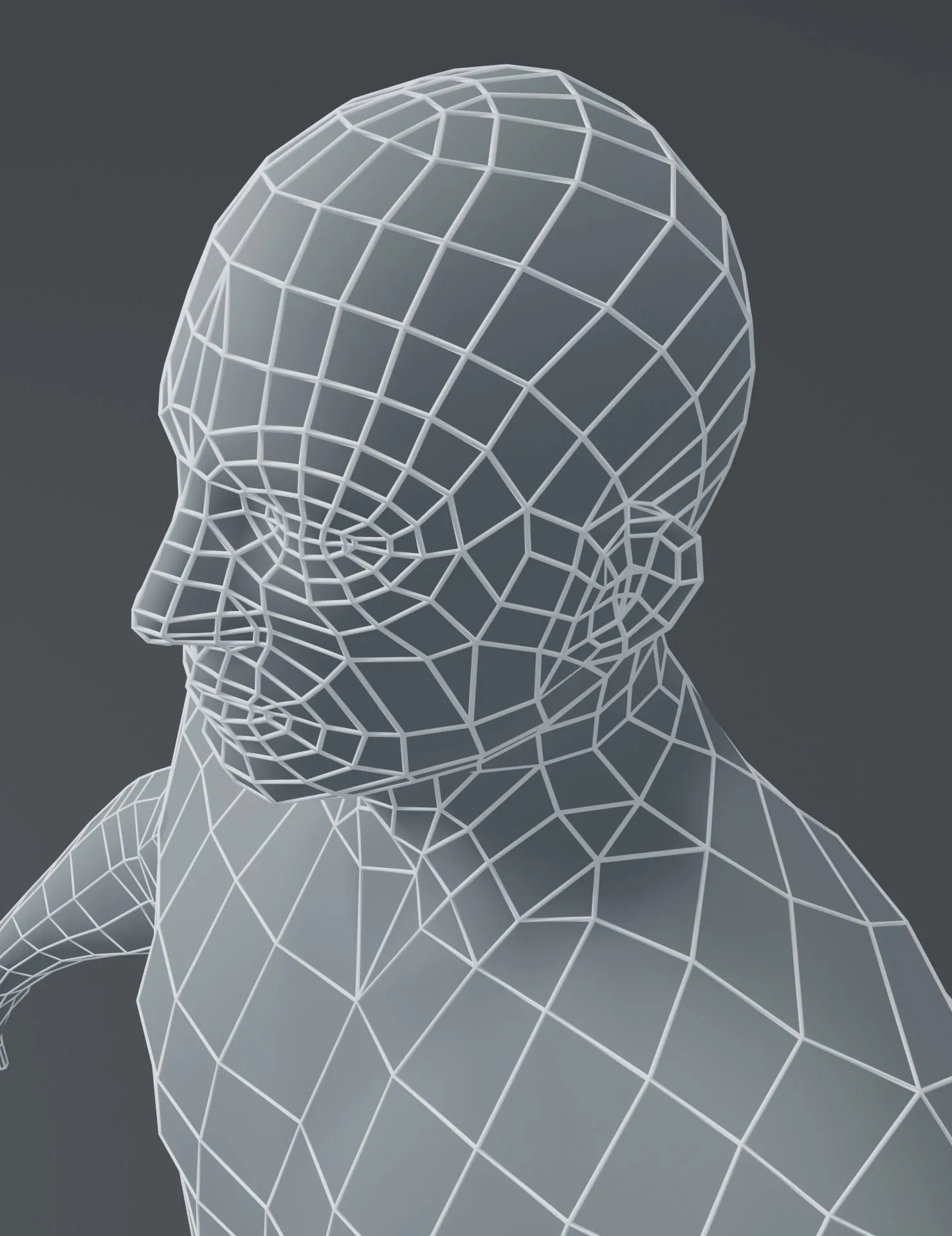 Male and Female Body Base Mesh 3D Model