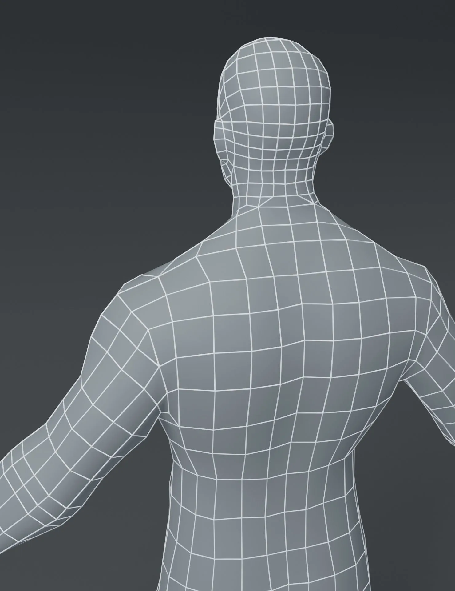 Male and Female Body Base Mesh 3D Model