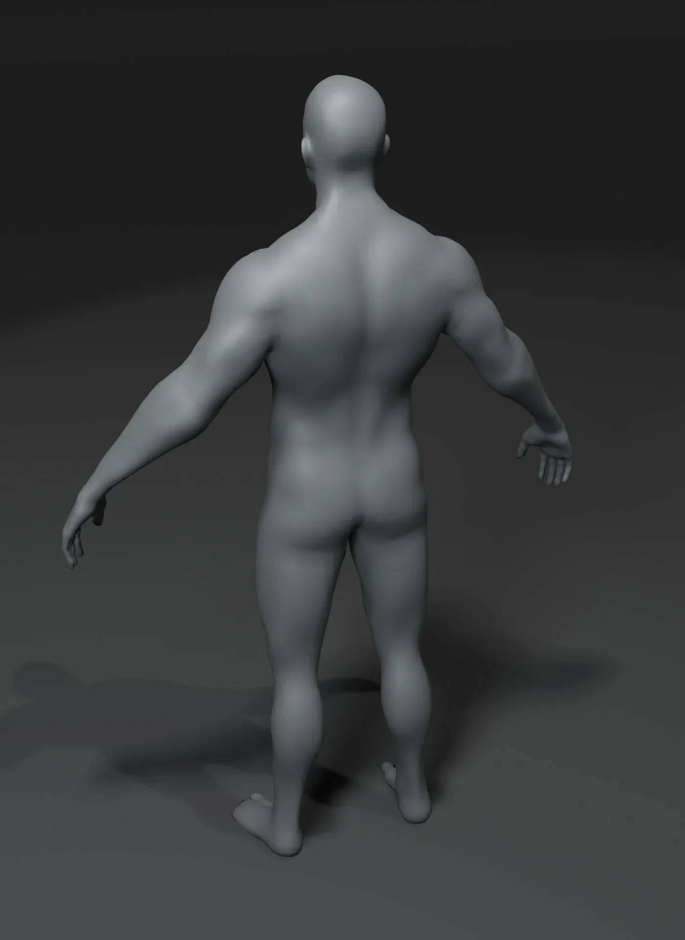 Male and Female Body Base Mesh 3D Model 10k Polygons