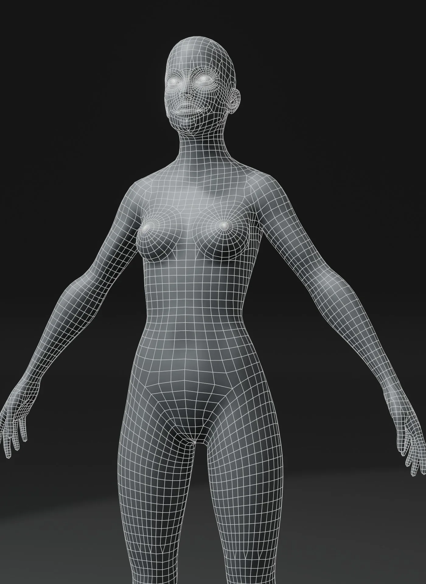 Male and Female Body Base Mesh 3D Model 10k Polygons