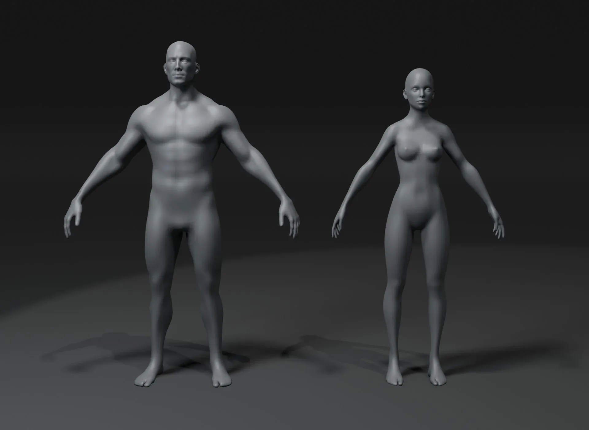 Male and Female Body Base Mesh 3D Model 20k Polygons