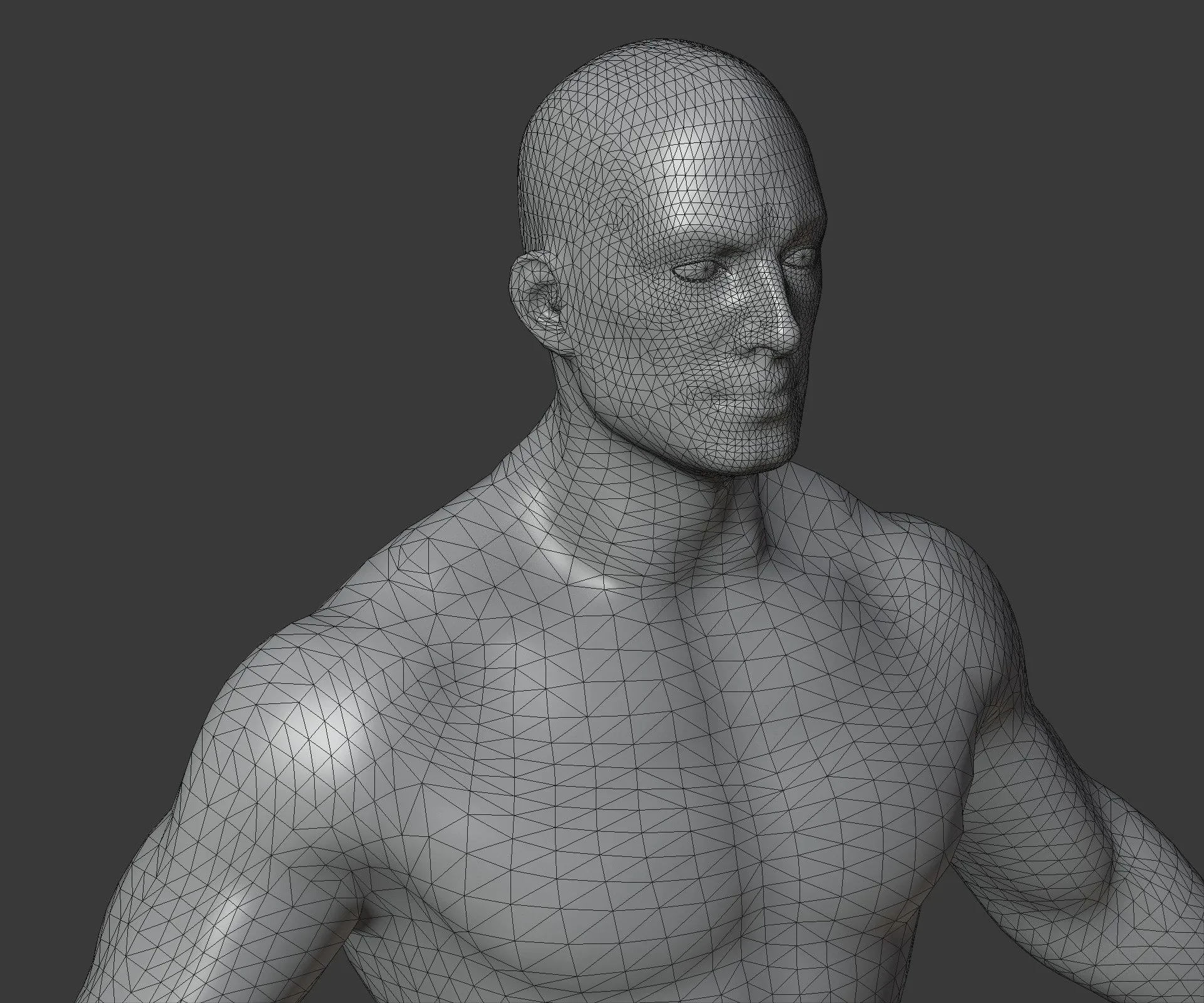 Male and Female Body Base Mesh 3D Model 20k Polygons