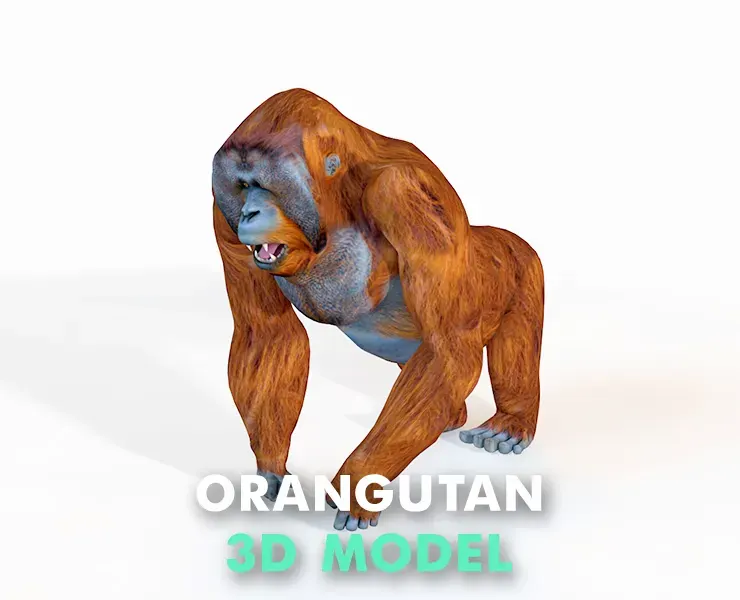 Orangutan rigged 3d model