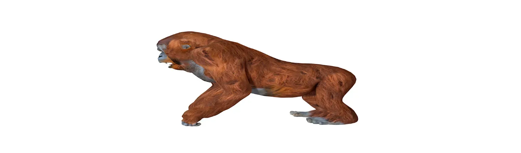 Orangutan rigged 3d model