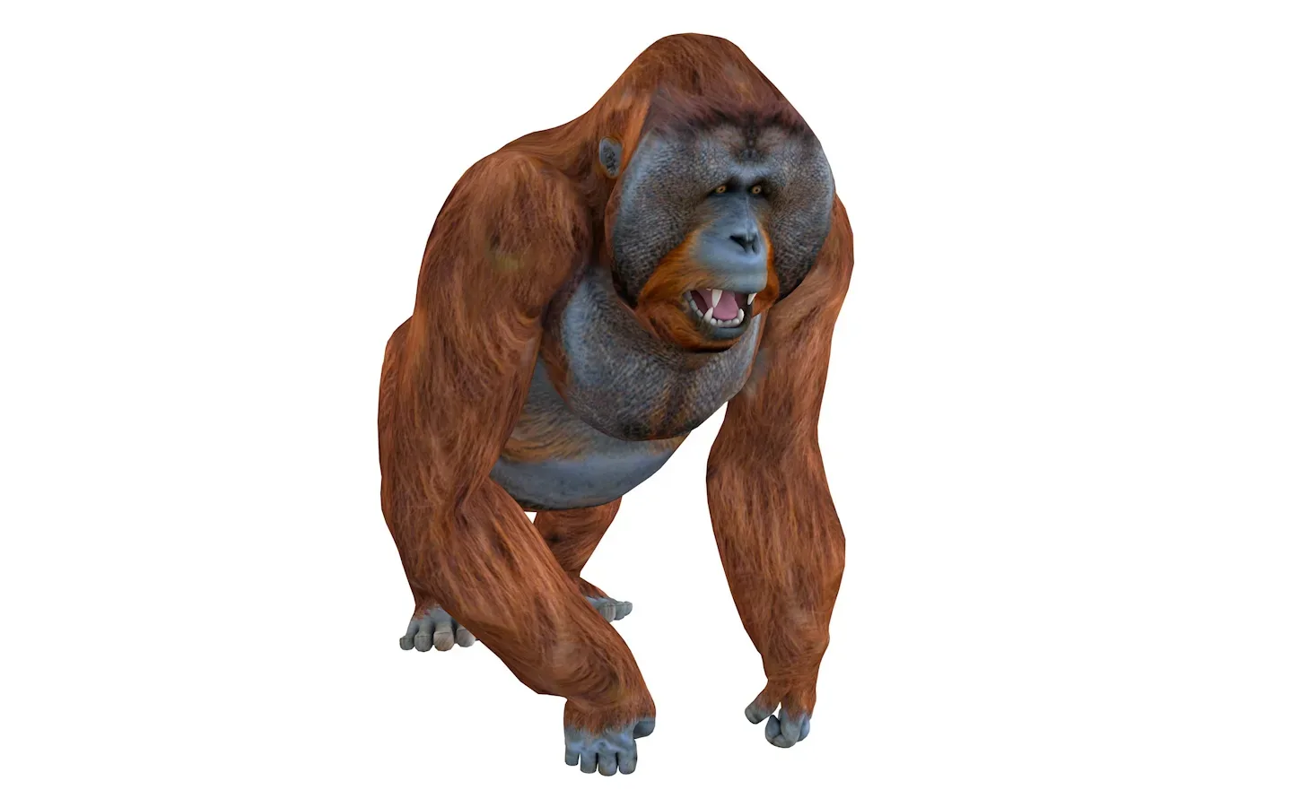 Orangutan rigged 3d model