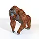 Orangutan rigged 3d model