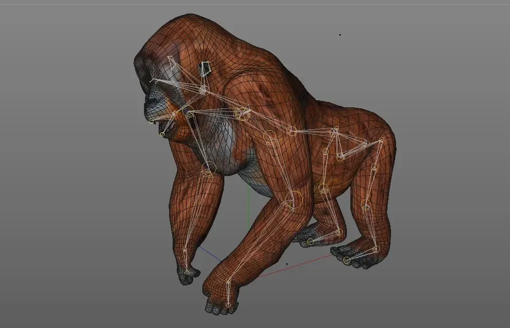 Orangutan rigged 3d model