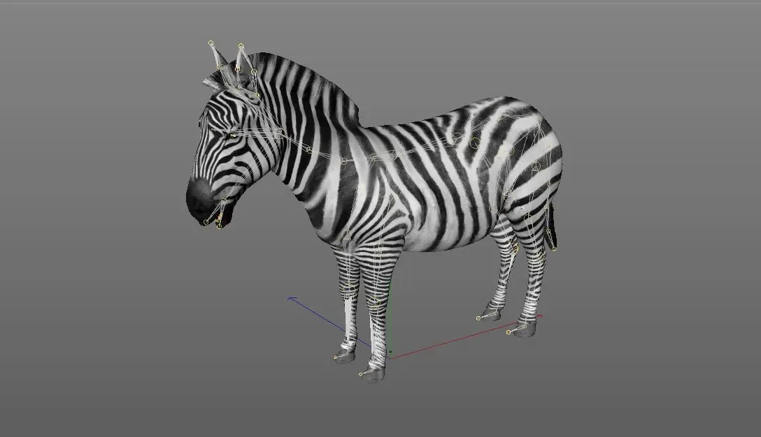 Zebra rigged 3d model