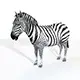 Zebra rigged 3d model