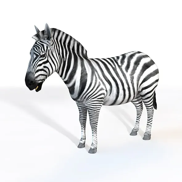 Zebra rigged 3d model