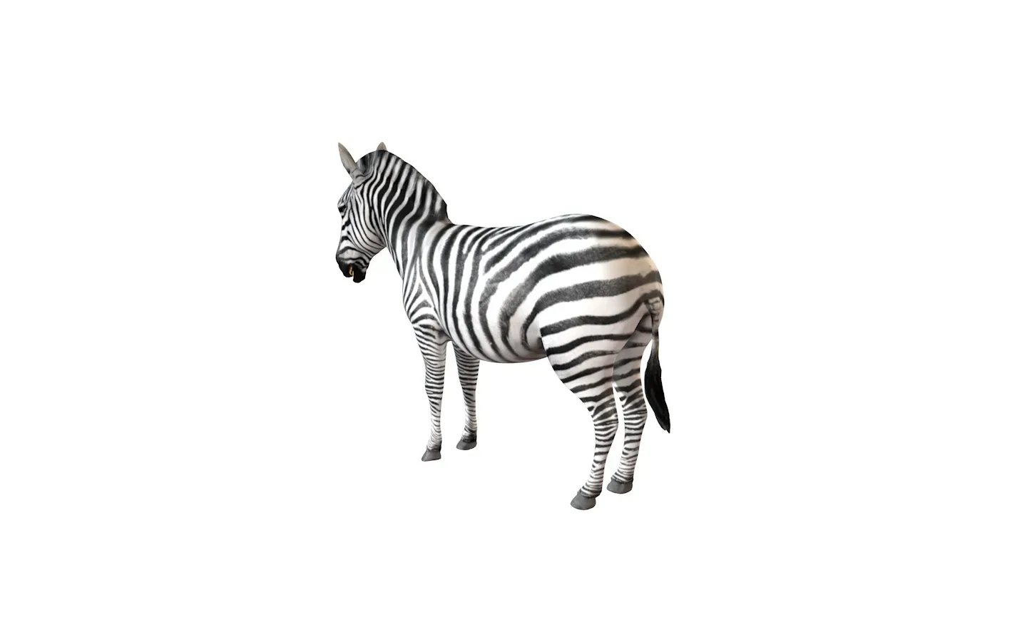 Zebra rigged 3d model