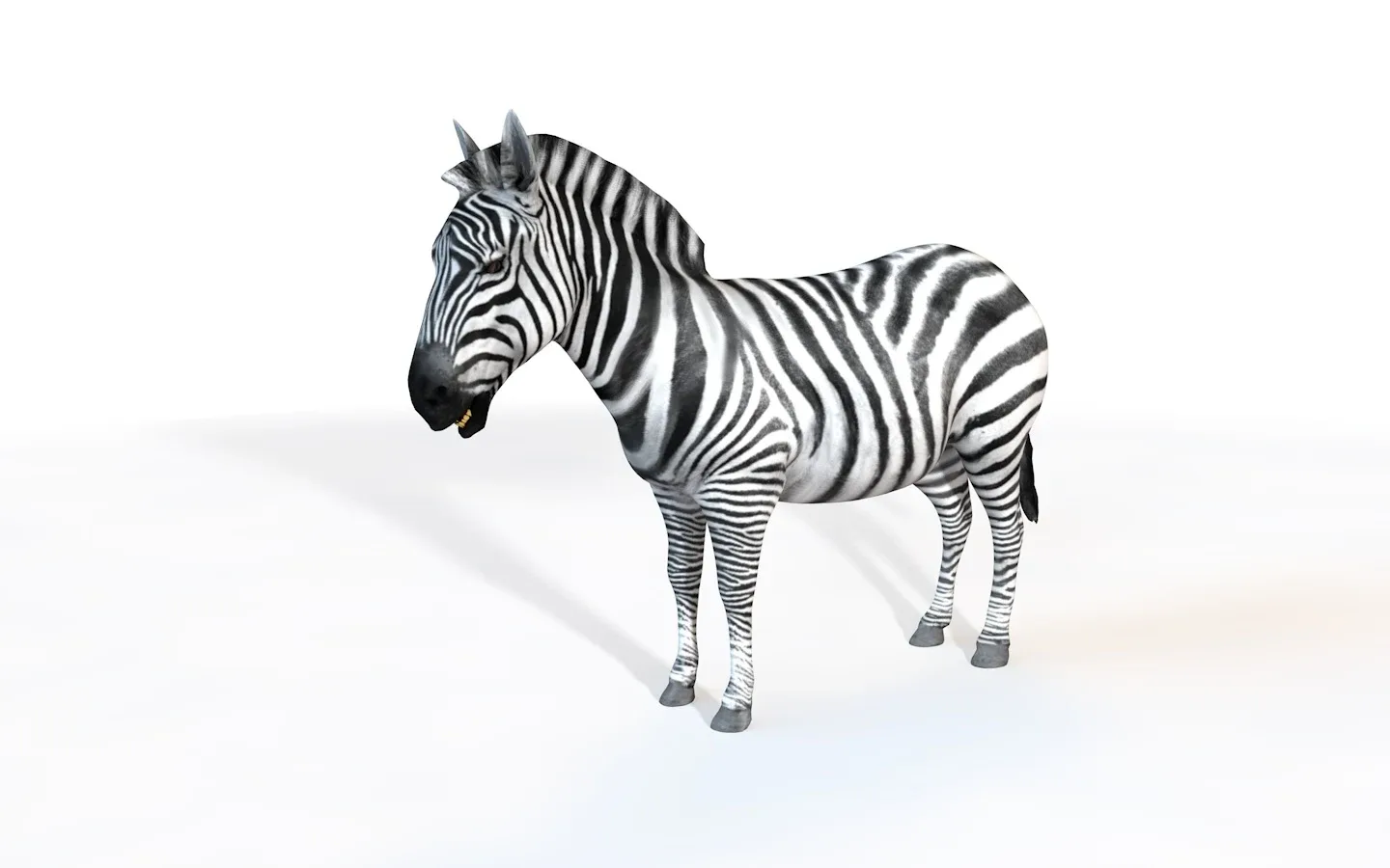 Zebra rigged 3d model