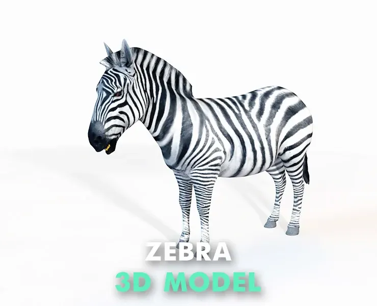 Zebra rigged 3d model