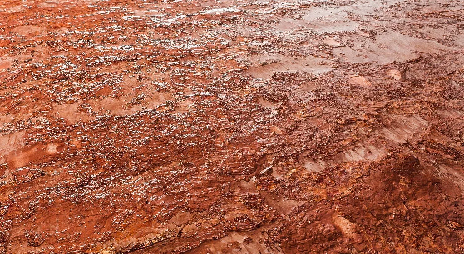 Brown Painted Wood Texture