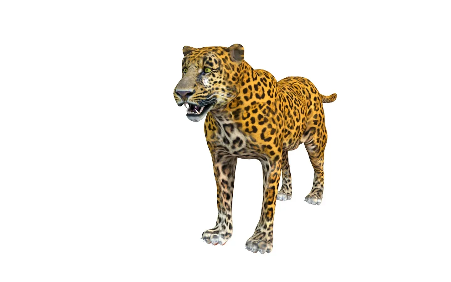 25 Animal rigged collection 3d model