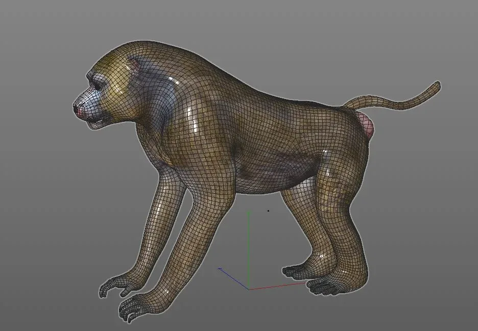 Baboon Monkey hair fur rigged 3d model