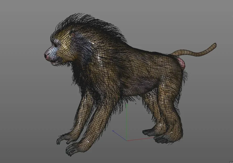 Baboon Monkey hair fur rigged 3d model