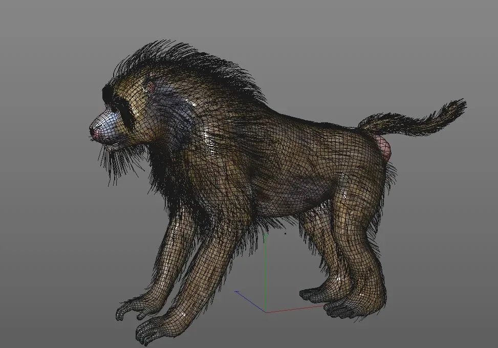 Baboon Monkey hair fur rigged 3d model