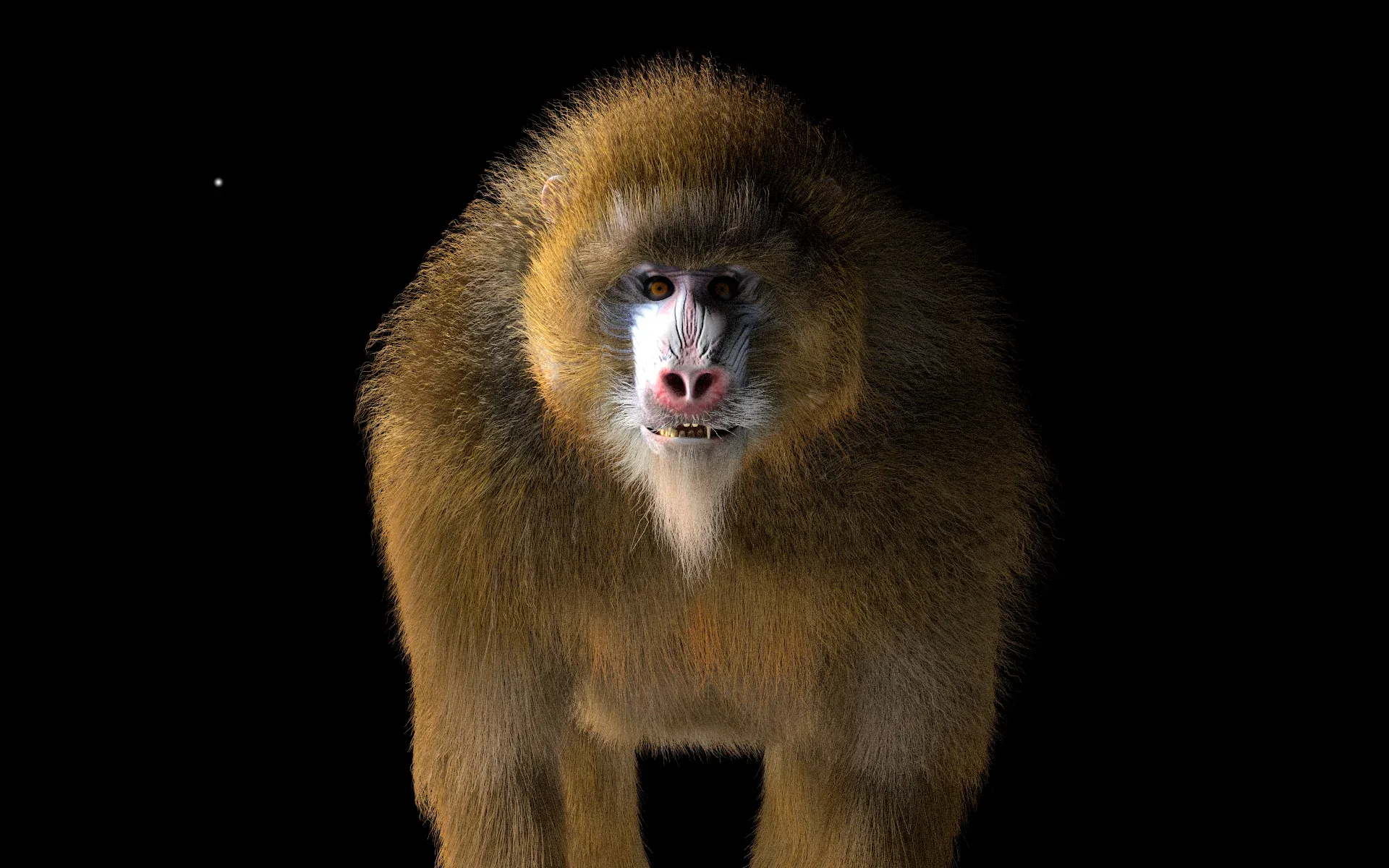 Baboon Monkey hair fur rigged 3d model