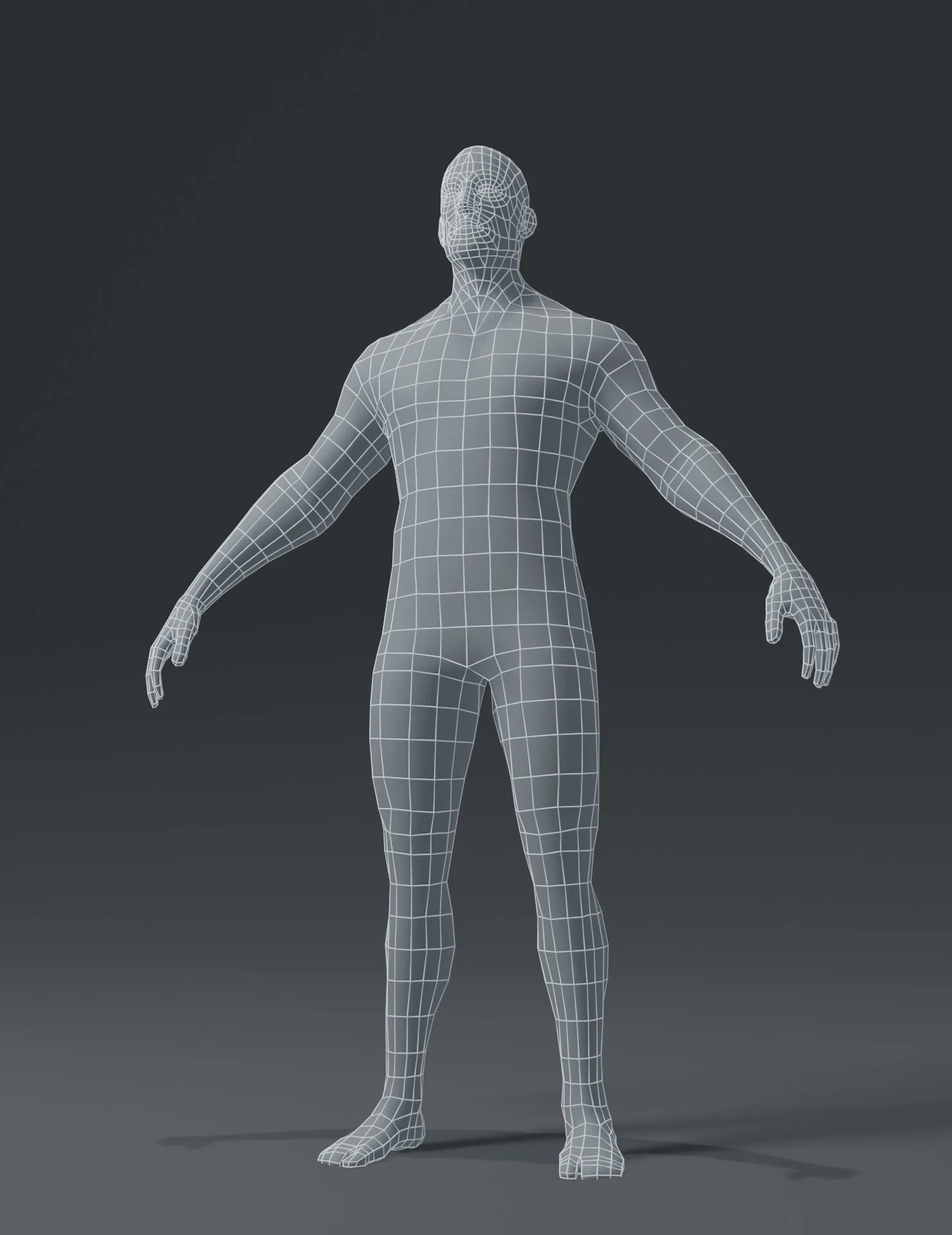 Human Body Base Mesh 3D Model Family Pack