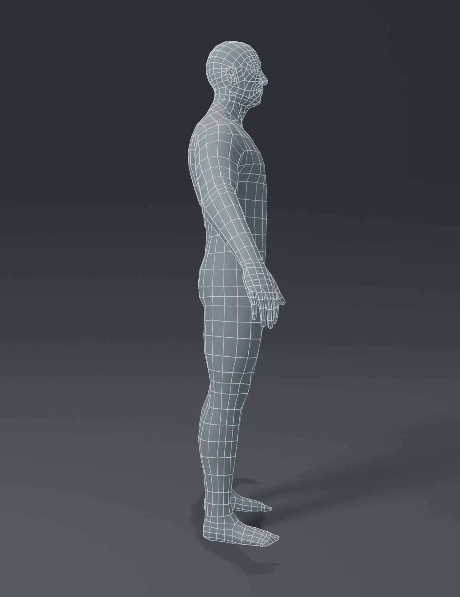 Human Body Base Mesh 3D Model Family Pack