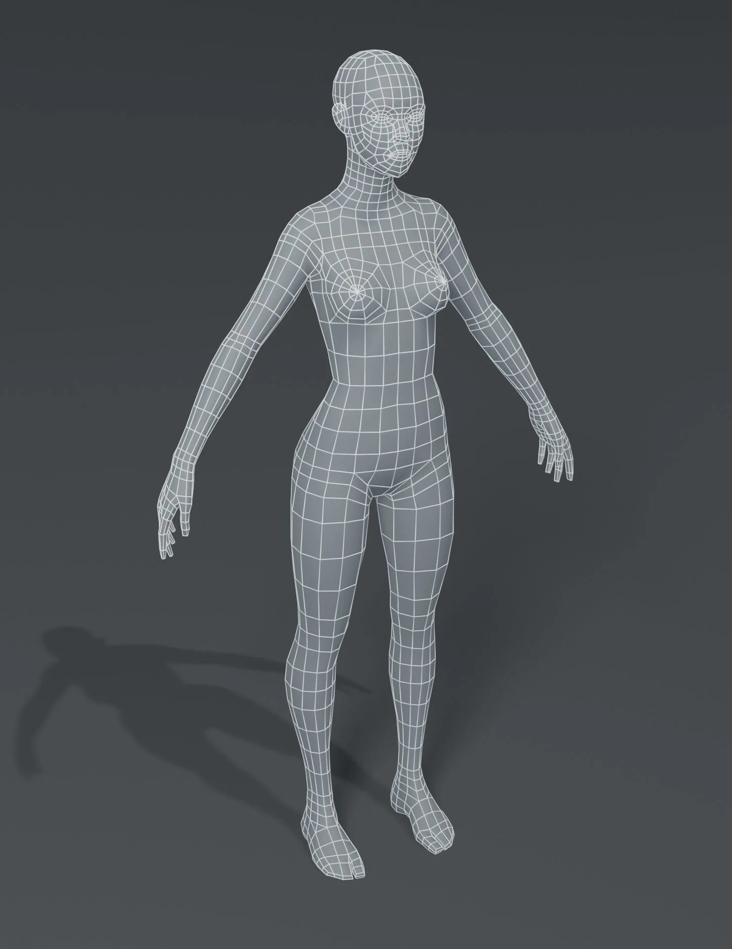 Human Body Base Mesh 3D Model Family Pack
