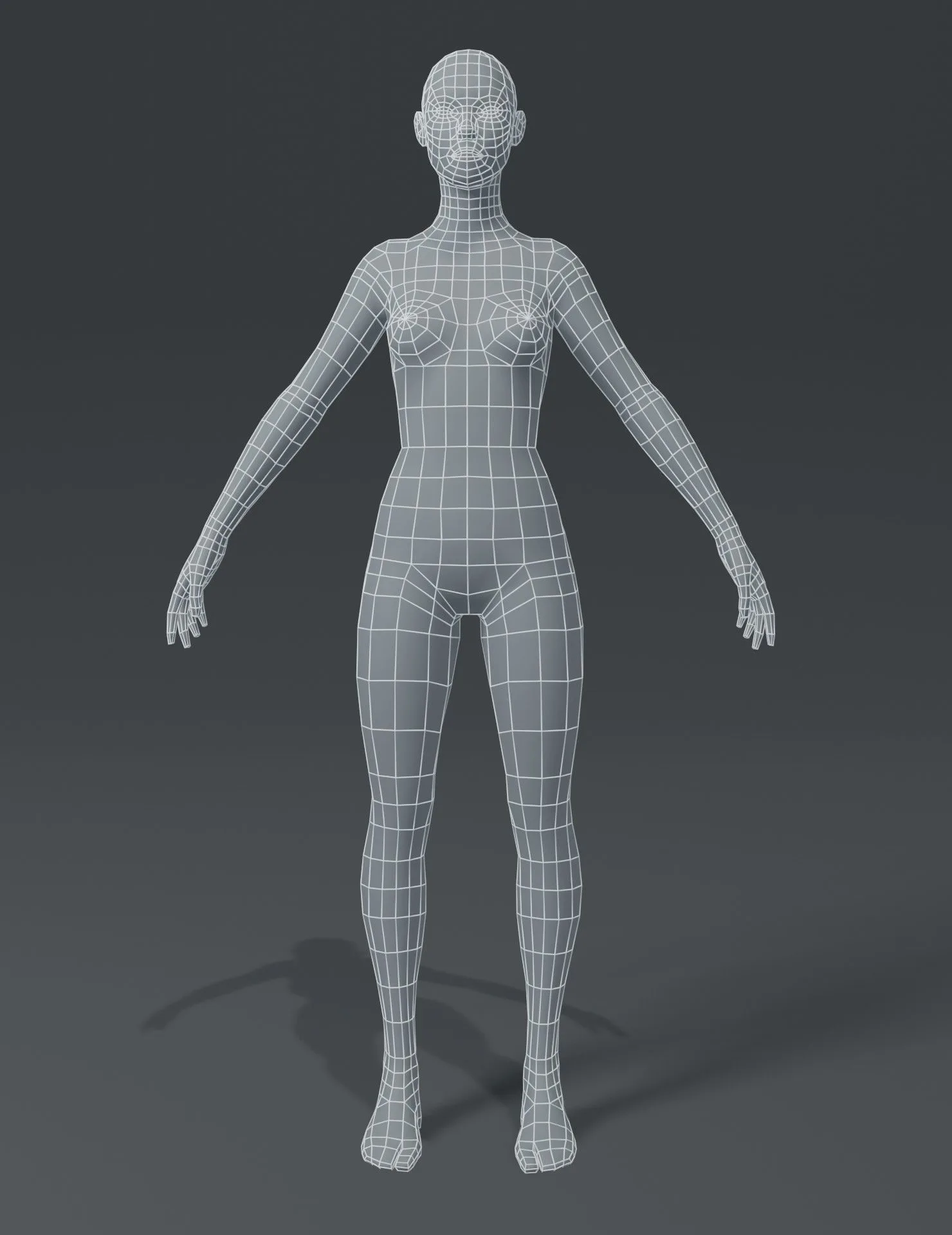 Human Body Base Mesh 3D Model Family Pack