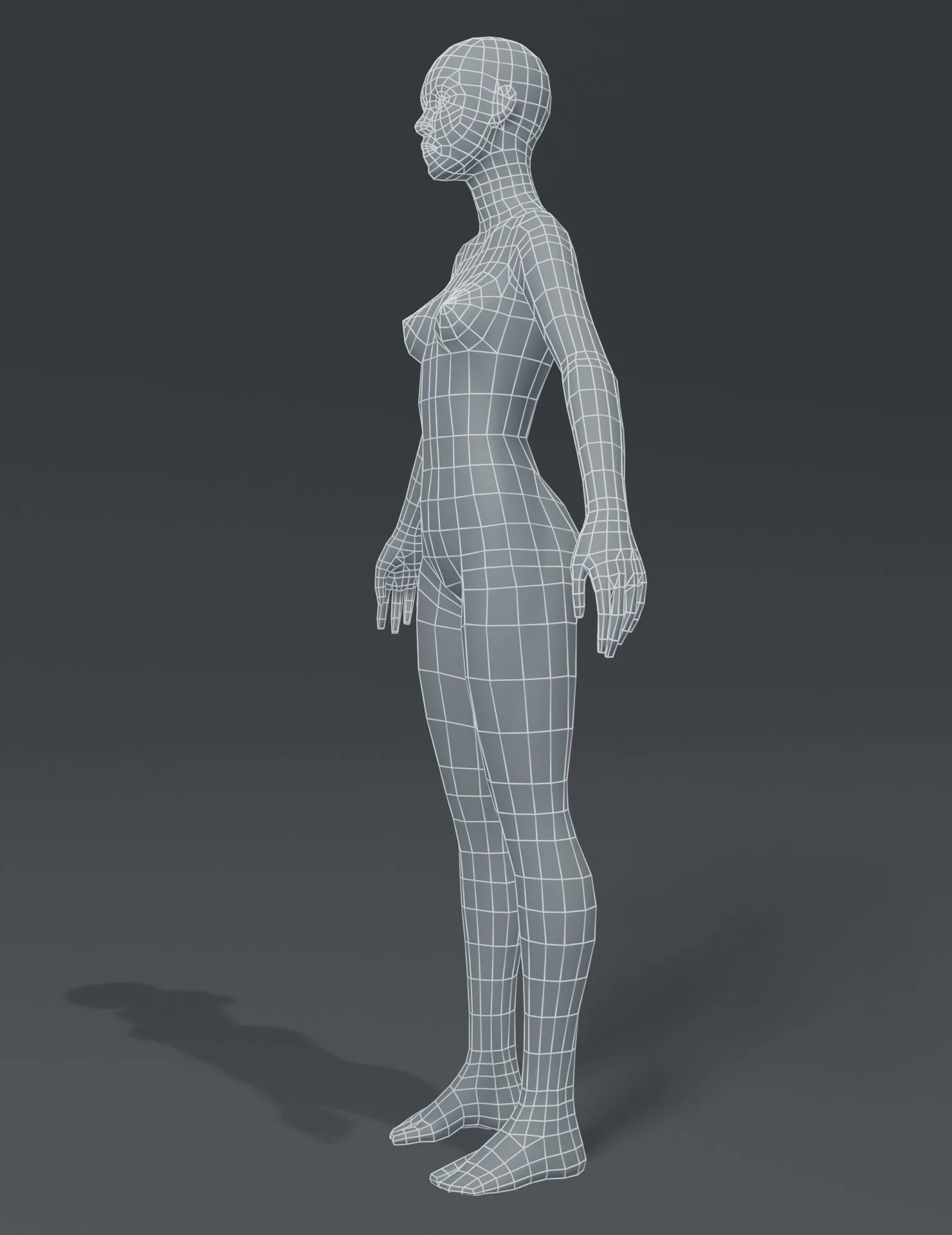 Human Body Base Mesh 3D Model Family Pack