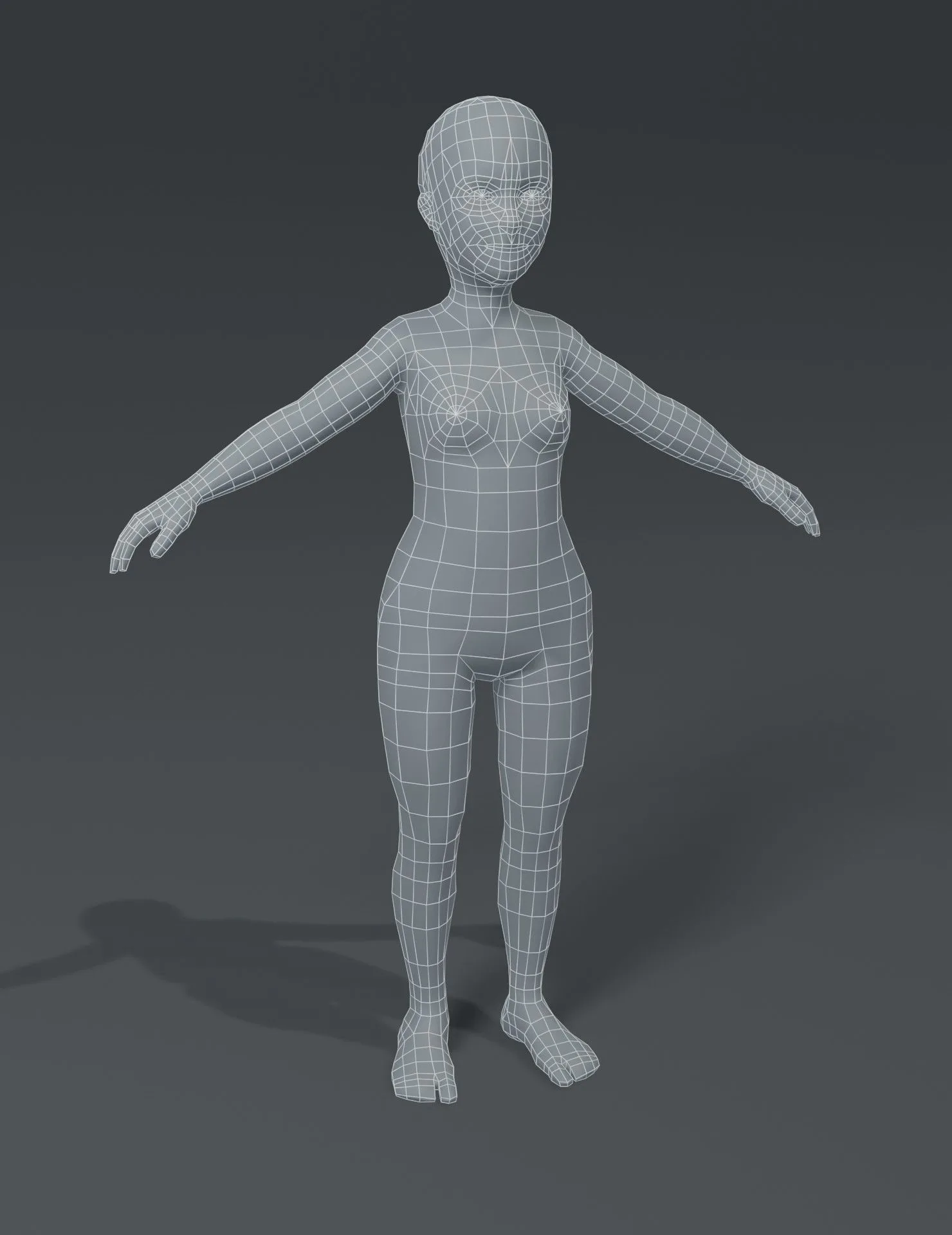 Human Body Base Mesh 3D Model Family Pack