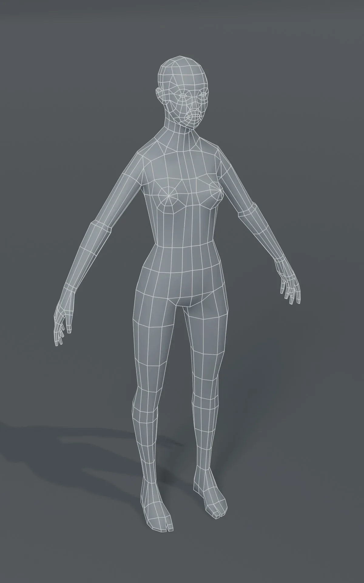 Human Body Base Mesh 3D Model Family Pack 1000 Polygons